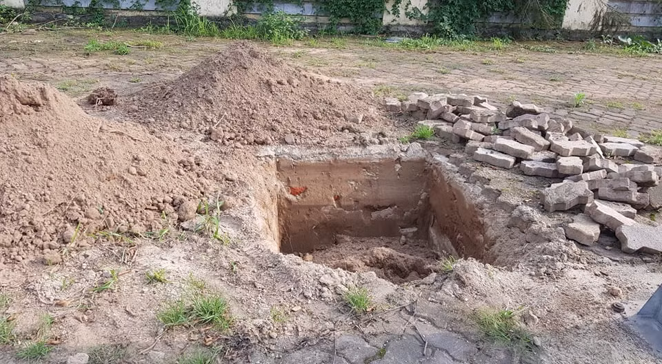 Những hố đào để trồng cây thay thế những cây cũ bị đánh đi.