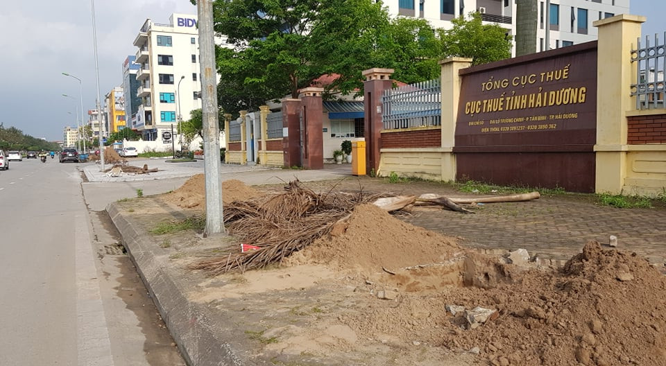 Hàng cây xanh trước cổng Cục thuế tỉnh Hải Dương cũng đã được đánh đi, chuẩn bị trồng cây thay thế.
