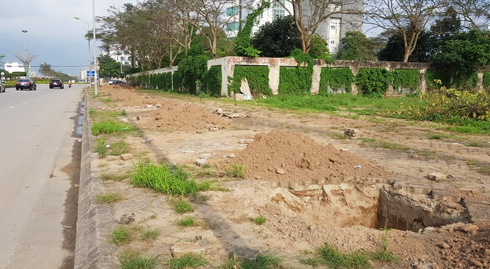 ... Để lại một con phố tạm thời vắng bóng cây xanh.