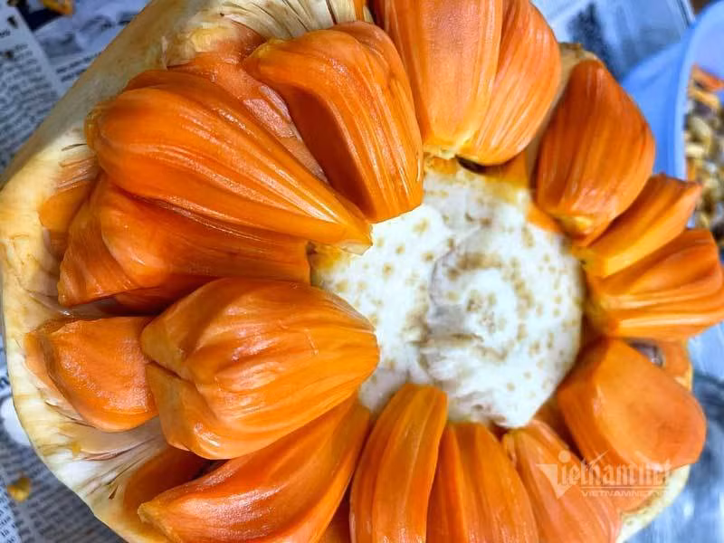 Chang trai tao ra con khung long sat ban gia tram trieu-Hinh-3