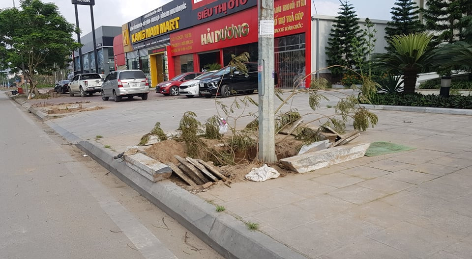 Tuyến phố chính này lại nhiều nhà hàng, cơ sở kinh doanh...