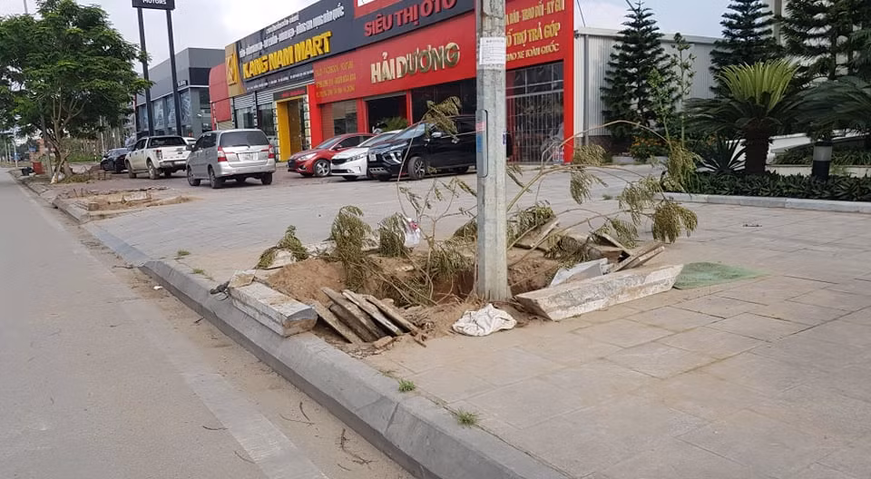 Tuyến phố chính này lại nhiều nhà hàng, cơ sở kinh doanh...