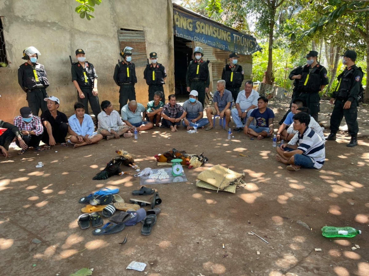  Tóm gọn 18 đối tượng tại trường gà quy mô lớn.Trưa 24/4, lực lượng Cảnh sát cơ động của Công an tỉnh Tiền Giang phối hợp với Trung Đoàn Cảnh sát cơ động Đông Nam bộ tổ chức triệt phá tụ điểm đá gà ăn tiền tại ấp 2 xã An Thái Trung, Cái Bè. Cảnh sát tạm giữ 18 đối tượng có liên quan đến hoạt động cờ bạc này; thu giữ 5 con gà đá, 1 cân đồng hồ, 30 cuộn băng keo đã qua sử dụng; 11 điện thoại di động, 32 xe mô tô 2 bánh; hơn 61 triệu đồng. Sới gà do đối tượng tên Mãi và Hoàng Cận tổ chức. Ảnh: VOV