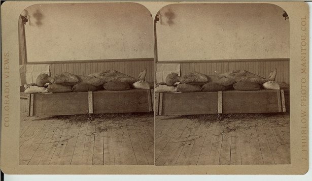 Tuy nhiên, về sau, người ta phát hiện ra bí mật gây sốc về người đàn ông thời tiền sử bị hóa đá mà William Conant phát hiện.