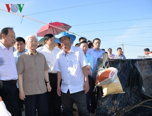 Hinh anh Tong bi thu, Chu tich nuoc lam viec tai Kien Giang-Hinh-3