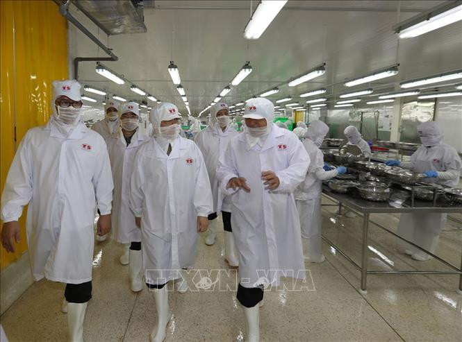 Hinh anh Tong bi thu, Chu tich nuoc lam viec tai Kien Giang-Hinh-8