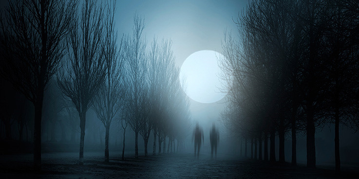 Chính vì vậy, người ta không dám đặt chân vào bên trong ngôi nhà bị ma ám.