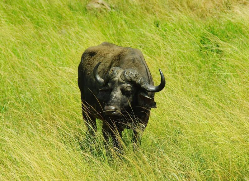 Trong tháng này tuổi Sửu dễ chật vật vì tiền dù bản thân không tiêu xài quá đà. Nếu có ý định đầu tư trong tháng này, bản mệnh cần phải xem xét kĩ càng trên mọi phương diện bởi đây không phải là thời điểm thuận lợi. Theo tử vi, tháng 4 này tài vận tuổi Sửu không sáng, bản mệnh tránh làm những việc lớn liên quan đến tiền bạc kẻo hao tiền hao của.