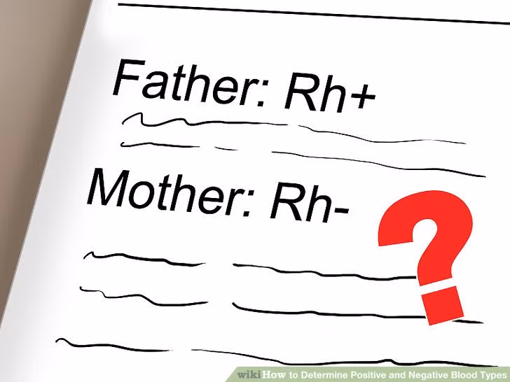 Những người có RH- trong máu thường là những người có IQ cao hơn mức trung bình, nhiệt độ cơ thể thấp hơn, nhạy bén hơn và có huyết áp cao hơn những người có nhóm máu khác. Theo bà Starr, một phụ nữ mang trong mình nhóm máu RH- trong khi người chồng mang nhóm máu RH+ thì không thể mang thai.