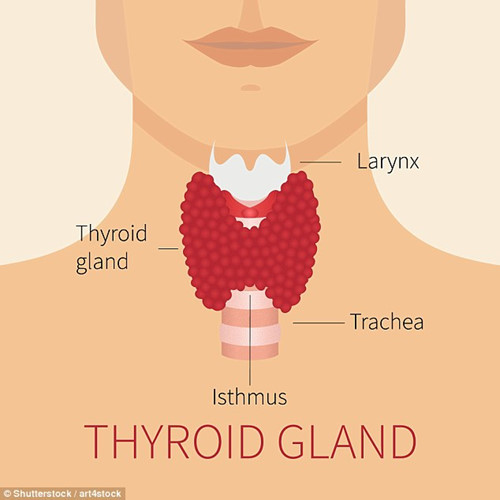 Nghiên cứu về vấn đề này, một số chuyên gia cho rằng, nụ cười bí ẩn của nàng Mona Lisa là do cô mắc phải tình trạng tuyến giáp hoạt động kém hay còn gọi là suy giáp.