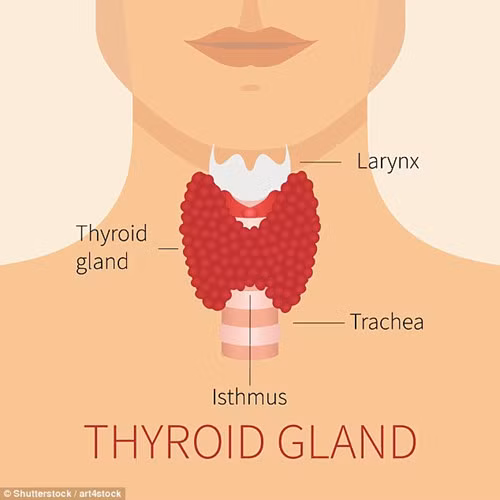 Nghiên cứu về vấn đề này, một số chuyên gia cho rằng, nụ cười bí ẩn của nàng Mona Lisa là do cô mắc phải tình trạng tuyến giáp hoạt động kém hay còn gọi là suy giáp.