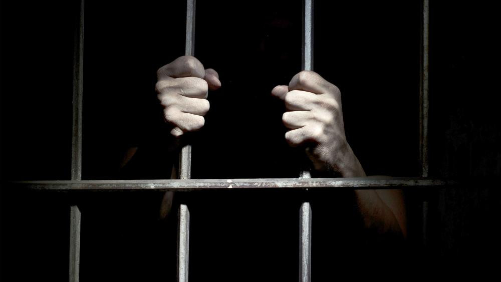 Thi thể các nạn nhân bị Mesfewi cắt xén và chôn bên dưới cửa hàng của gã. Về sau, tội ác của gã sát nhân này bị phát giác. Y bị xử tử năm 1906.