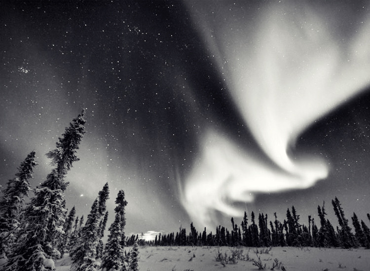 Khi đến khu vực chôn cất người chết của người Inuit, người ta phát hiện các ngôi mộ đều bị đào lên và quan tài không còn bên trong.