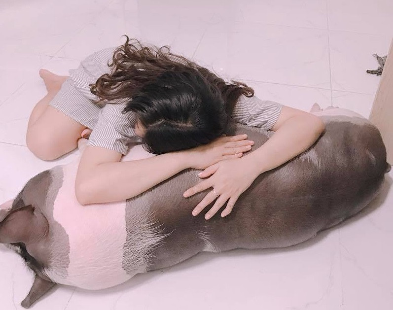 Hao huc mua heo “mini” ve lam thu cung, mot nam sau “nga ngua”...-Hinh-2