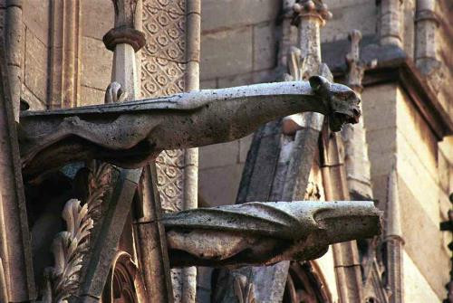 Cụ thể, khi đến thăm nhà thờ Đức Bà Paris, nhiều người không khỏi ấn tượng với một số tượng hình đầu thú.