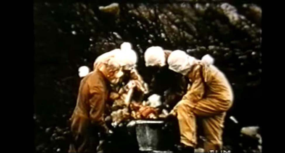 Trong bối cảnh đó, Thủ tướng Anh Winston Churchill nhanh chóng triển khai dự án nhằm kiểm tra tính khả thi của việc sử dụng vũ khí sinh học để sẵn sàng đáp trả và ngăn chặn cuộc tấn công tương tự của Hitler nhằm vào nước này.