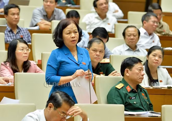 Vu 3 tinh gian lan thi cu: Thi sinh o Ha Giang duoc nang 29,95 diem-Hinh-2