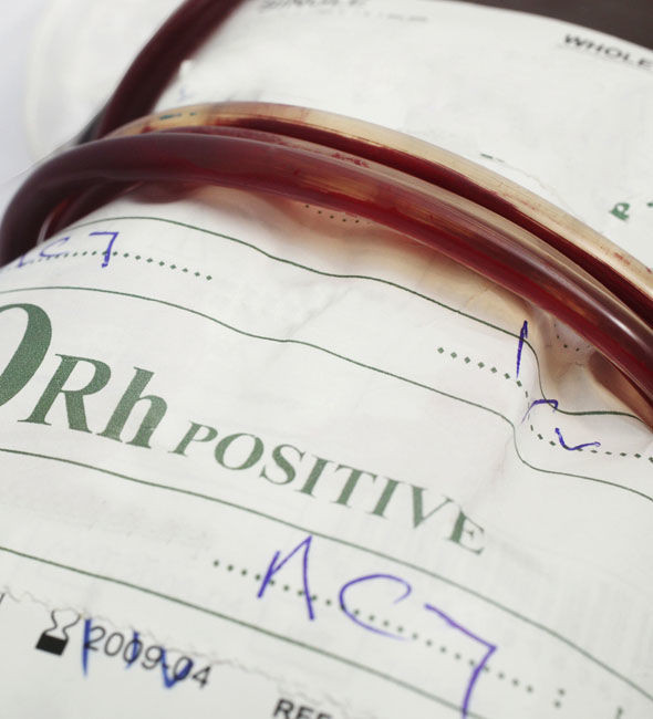 Nghiên cứu của các nhà khoa học chỉ ra khoảng 85% người trên thế giới có RH+ trong máu, có nghĩa họ thuộc các nhóm máu O+, A+, B+, AH+.