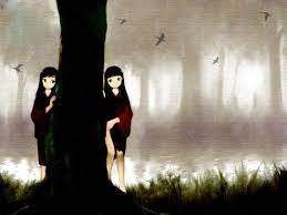 Theo một số tài liệu, vào một ngày, Goethe trên đường trở về nhà sau cuộc gặp với cô gái có tên Frederika thì bấy ngờ nhìn thấy một người đàn ông bí ẩn có ngoại hình giống hệt ông. Điều khác duy nhất là người đàn ông đó mặc trang phục khác với Goethe.