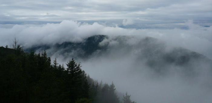 Ngoài thằn lằn, một số người dân địa phương từng kể rằng đã nhìn thấy một số sinh vật lạ khác.