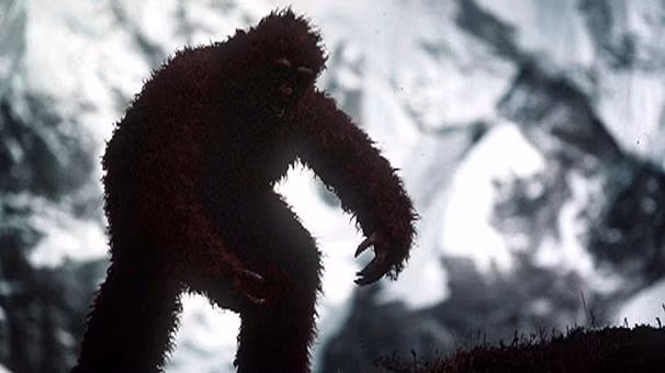 Yeti được mọi người biết đến là sinh vật to lớn, mình đầy lông lá, đi bằng 2 chân giống con người.