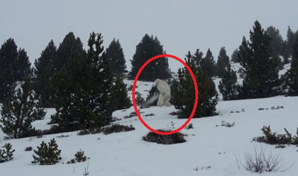 Tuy nhiên, câu trả lời này không nhận được sự đồng tình của mọi người. Do vậy, người ta tiếp tục tìm kiếm tung tích của người tuyết Yeti tại Tây Tạng.