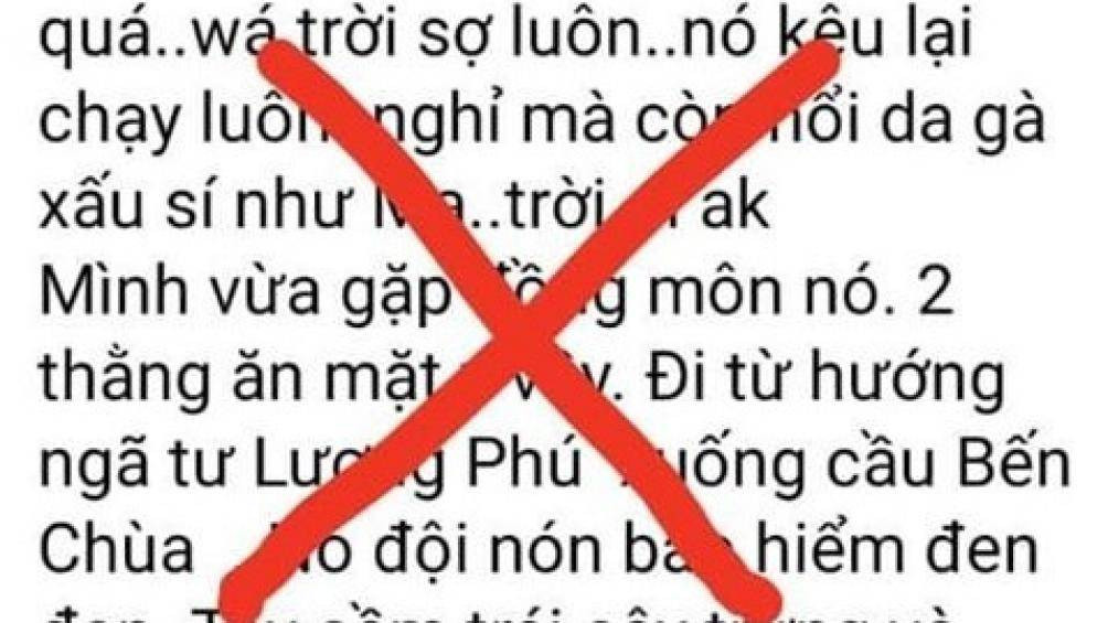 Xu phat nguoi tung tin “nguoi den cam dau ga xuat hien o Tien Giang“-Hinh-2