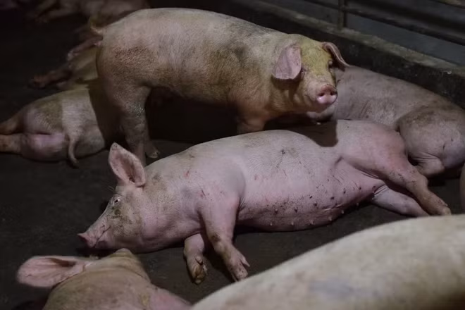 May bay mat tin hieu khi di qua trai lon o Trung Quoc, vi sao?