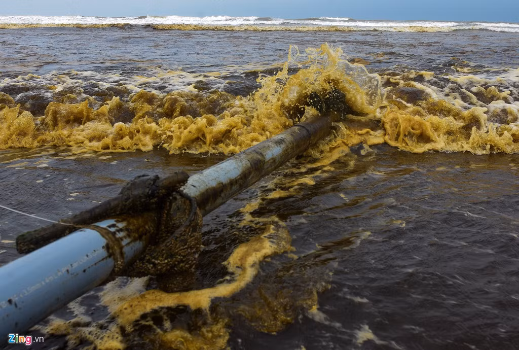 Đoạn ống xả thải từ các hồ nuôi tôm của người dân thôn Hải Ninh, xã Bình Thạnh (huyện Bình Sơn) ra biển bị nhuộm đen. Ban đầu người dân tưởng nước biển đổi màu do sự cố tràn dầu từ tàu hàng mắc cạn trong bão số 5. Tuy nhiên sau khi kiểm tra, cơ quan chức năng không thấy khu vực tàu mắc cạn có dầu loang.