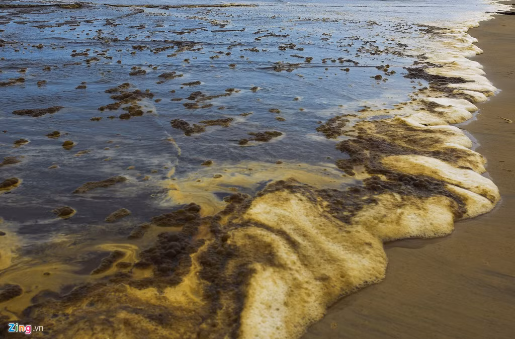 Mảng bọt trắng bị nước biển tràn vào nhuộm đen trải dài hơn 2 km dọc bãi tắm Khe Hai. "Ngay sau khi nhận thông tin, cơ quan chức năng đã lập đoàn kiểm tra, lấy mẫu gửi đi phân tích để xác định nguyên nhân nước biển bị nhuộm đen bất thường để có giải pháp xử lý", ông Đồng nói.