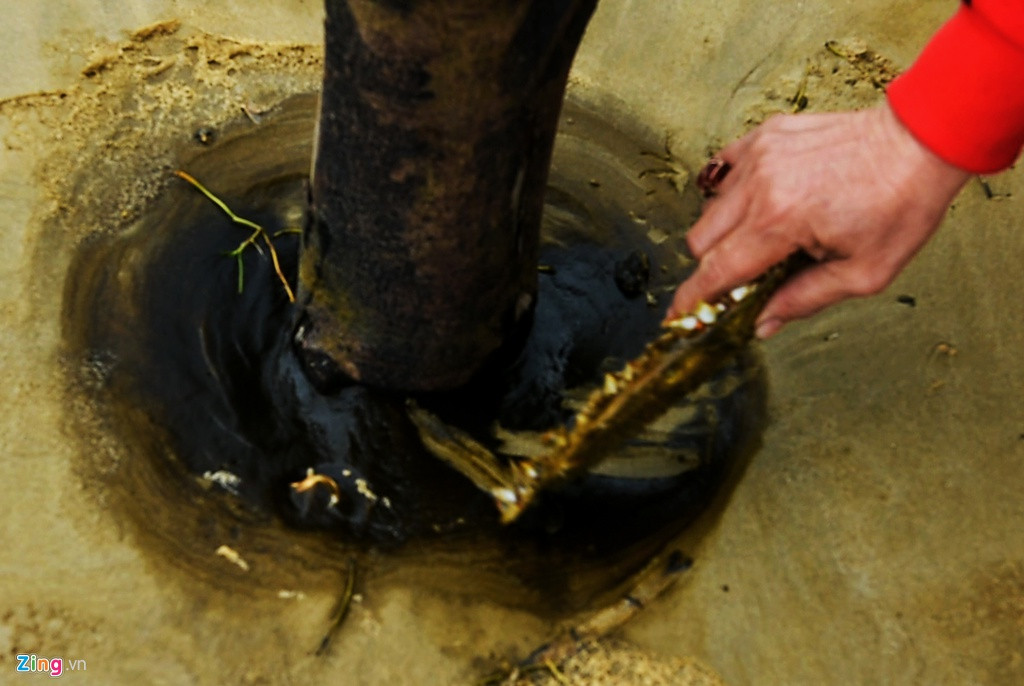 "Nước biển màu đen tràn vào bờ đặc quánh như nhựa đường. Trước hiện tượng bất thường, người dân chúng tôi rất lo lắng. Một tuần qua, ngư dân đánh bắt ở khu vực này không thấy con cá nào nên ai cũng lo sợ môi trường biển bị ô nhiễm, ảnh hưởng sức khỏe, cuộc sống lâu dài", bà Nguyễn Thị Lành (ngụ xã Bình Thạnh) lo âu.