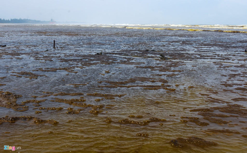 Ngày 5/12, người dân xã tiếp tục phản ánh đến cơ quan chức năng việc nước biển sủi bọt đen lan rộng ở vùng biển Dung Quất.