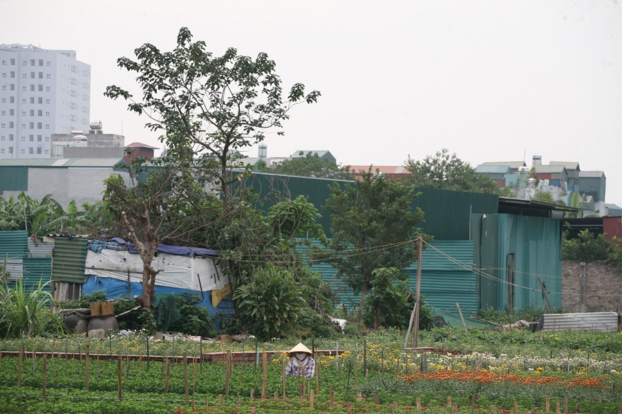 Hang loat cong trinh xay dung trai phep tren dat nong nghiep o Khuong Dinh - Ha Noi?-Hinh-2