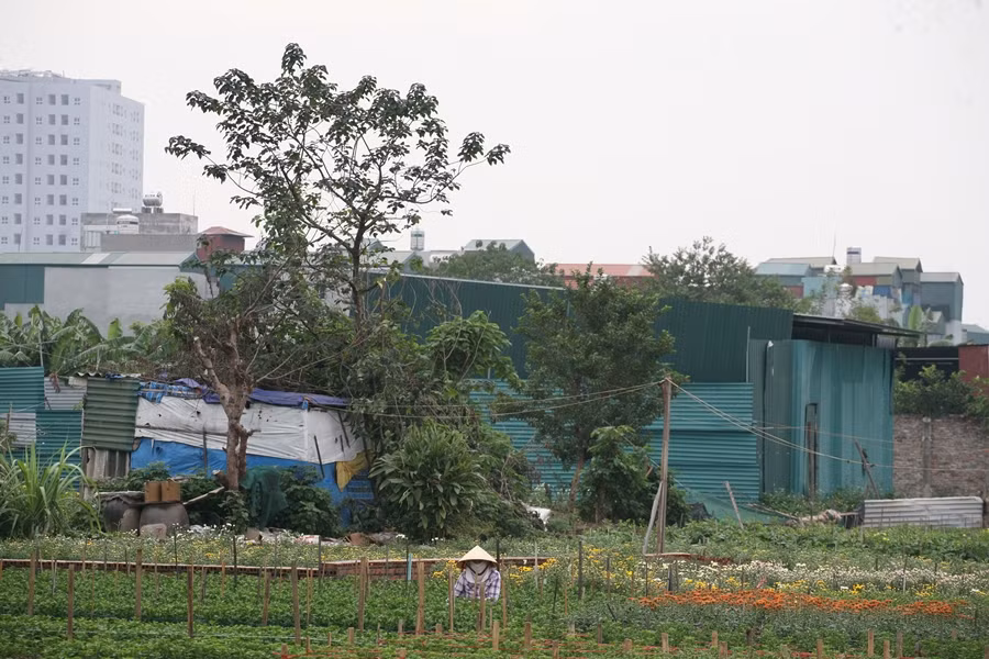 Hang loat cong trinh xay dung trai phep tren dat nong nghiep o Khuong Dinh - Ha Noi?-Hinh-2