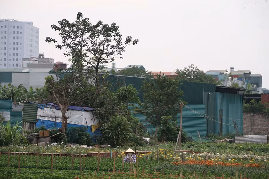 Theo người dân, hoạt động vi phạm trật tự xây dựng tại ngõ 271 Bùi Xương Trạch diễn ra từ đầu năm 2018, đến nay cuối năm 2019, vấn đề này càng trở nên công khai, thách thức hơn.