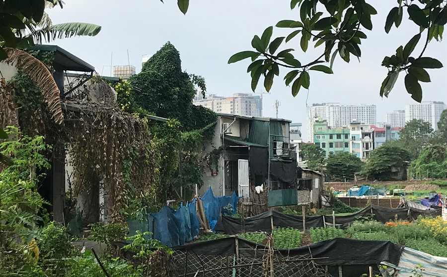 Ngoài ra tại khu vực ngõ 271 Bùi Xương Trạch còn xuất hiện nhiều nhà cấp 4 đã “xẻ thịt” đất nông nghiệp thành đất ở.