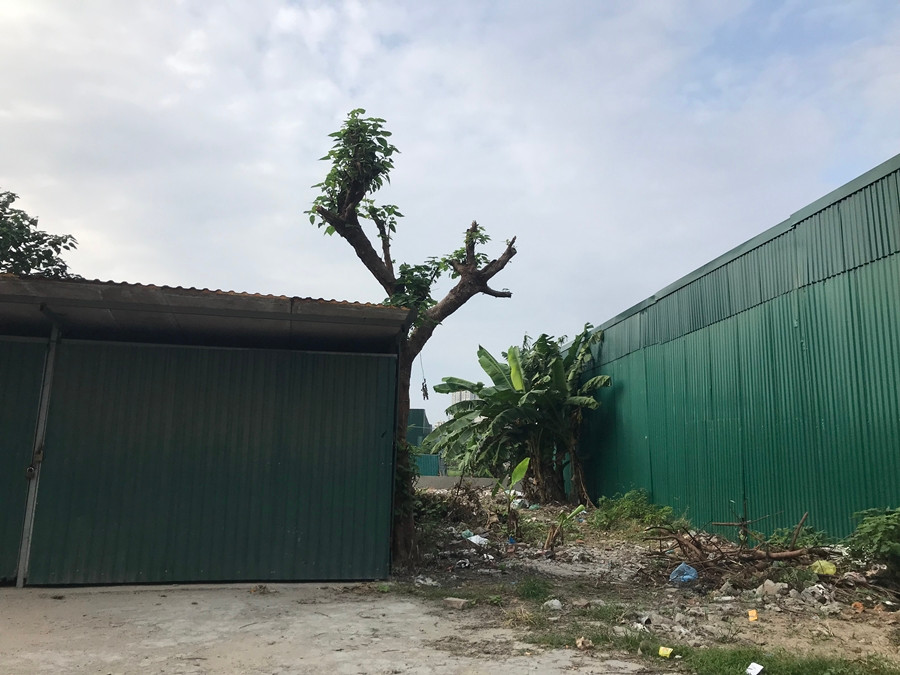 Theo quan sát của PV Kiến Thức, chỉ khoảng 50m đường trong ngõ 271 Bùi Xương Trạch đã xuất hiện từ 3-4 ngôi nhà bắn mái tôn kín mít, kiên cố, với diện tích hàng chục m2 “mọc” tràn lan trên đất nông nghiệp.