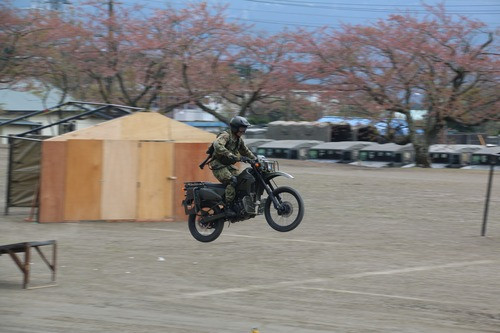 Những pha biểu diễn đẹp mắt.