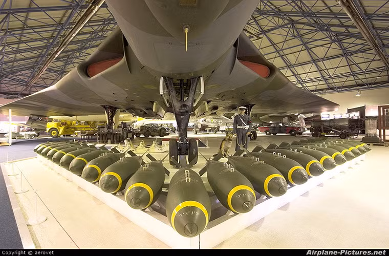 Về hệ thống vũ khí, Avro Vulcan có thể mang theo 21 quả bom thông thường có tổng trọng lượng tối đa khoảng hơn 9,5 tấn hoặc triển khai vũ khí hạt nhân cho Không quân Anh.