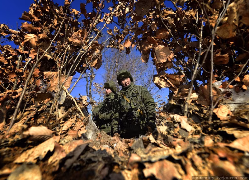 Một số binh sĩ quân địch giả định đã lọt vào tầm ngắm từ xa qua những lùm cây.