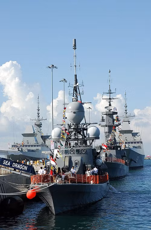 Mặc dù quân số thực sự của Hải quân Singapore vẫn chưa được công bố chính thức, tuy nhiên đảo quốc này lại sở hữu hạm đội tàu chiến lên tới gần 50 chiếc các loại đa số đều là các tàu chiến hiện đại. Tuy có lịch sử phát triển khá muộn và bắt đầu hầu như với con số không nhưng sau 50 năm xây dựng Hải quân Singapore đã vươn lên trở thành lực lượng hải quân hàng đầu khu vực Đông Nam Á.