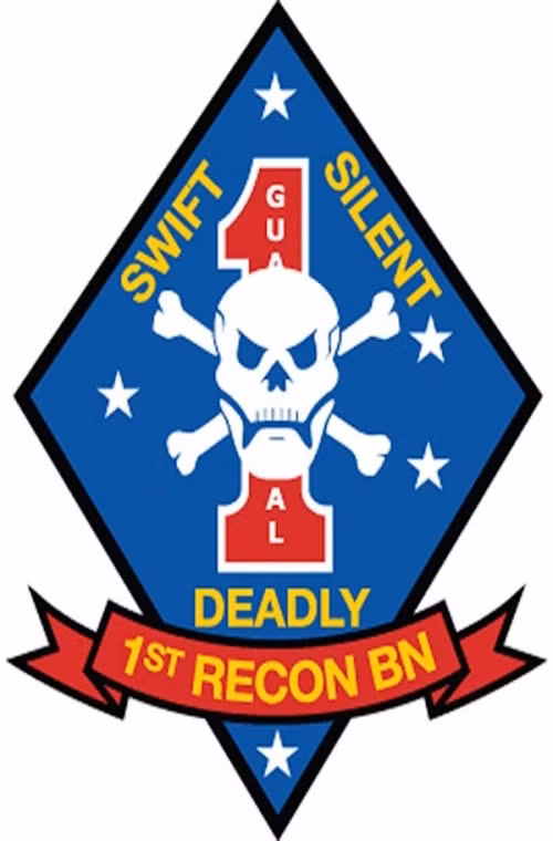 Tiểu đoàn trinh sát số 1, 2 và 3: là các đơn vị được thành lập với nhiệm vụ chính là trinh sát và hỗ trợ mặt đất cũng như tác chiến đặc biệt của Thủy quân Lục chiến Mỹ, đóng quân tại các căn cứ Lejeune, Pendleton, và Schwab. Đơn vị này có phương châm hoạt động là: “Swift, Silent, Deadly”.