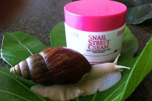 Loại kem làm liền da chiết xuất từ nhớt ốc sên này được cho rằng có công dụng làm chậm quá trình lão hóa và giảm bớt các khuyết điểm trên da. Đối với một số người phương Tây, việc sử dụng nhớt ốc sên để làm đẹp vẫn bị coi là khá kì lạ.