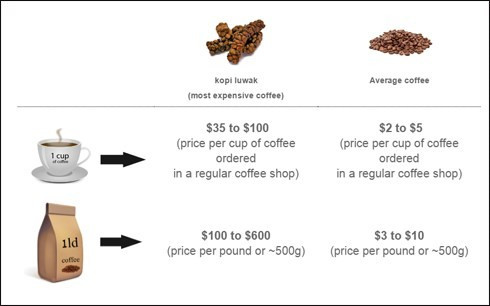 Xem sản xuất cà phê đắt nhất thế giới Xem san xuat ca phe dat nhat the gioi