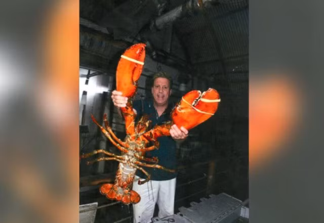 Bat duoc con tom hum khong lo song gan 1 the ky