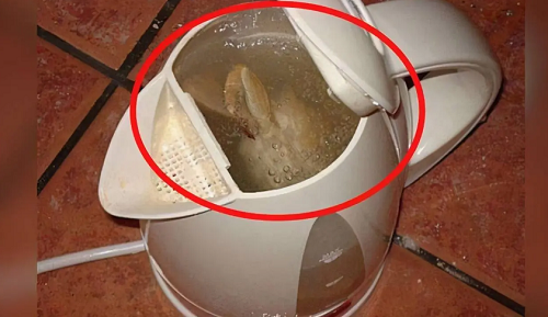 Tiktoker tiet lo mon do “ghe so” o phong khach san cho dung vao-Hinh-2