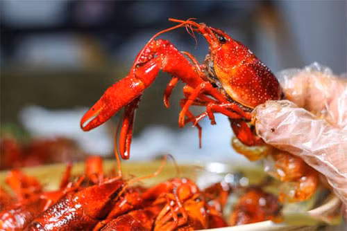 4. Tôm càng. Tôm được thu hoạch rộ vào mùa hè. Mặc dù chứa nhiều dinh dưỡng song bạn nên thận trọng khi ăn tôm càng ở các quán vỉa hè. Nguyên nhân bởi tôm càng sống trong bùn nên rất dễ chứa các loại vi khuẩn, mầm bệnh.