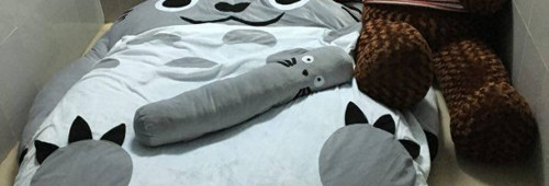 Theo Trung tâm Kiểm soát và Phòng ngừa Bệnh dịch Mỹ, năm 2015, có tới 900 trẻ sơ sinh tử vong do ngạt thở. Một trong những lý do là trẻ sơ sinh chưa nhận thức được đồ vật xung quanh, khi ngủ hoặc chơi, chúng thường đặt gấu bông, chăn, gối lên mặt. Chỉ thời gian ngắn, đường thở của trẻ có thể bị tắc nghẽn do sự mềm mại của chất liệu thú nhồi bông.