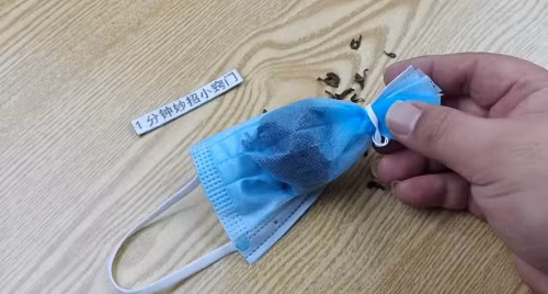 Dat khau trang vao tu lanh, loi ich kinh ngac it nguoi biet-Hinh-3