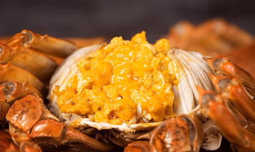 4. Gạch cua. Gạch cua đậm vị, hiếm nên rất nhiều người yêu thích, coi là thực phẩm tẩm bổ. Thực tế, gạch cua cũng giống trứng gia cầm, chứa lượng cholesterol cao. Nghiên cứu chỉ ra, 100g gạch cua chứa tới 400mg choleseterol, ăn nhiều không có lợi.